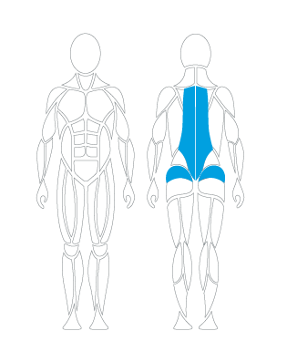 G110 LUMBAR THORACIC EXTENSION, Zielmuskeln Wirbelsäule, Therapiegerät, Physiotherapie, Ärztezentren, Rückengesundheit