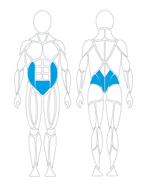 DAVID HEALTH, Wirbelsäulentherapiegerät, Physiotherapie, Ärztezentren, Rückengesundheit