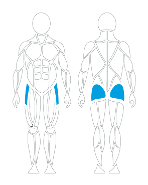 Hüft-& Knie; G310 Hüftabduktion, Zielmuskeln, Hüfttraining, Hüftübungen, Geräte, Senioren Training, Physio, Ärztezentren, Therapie, Krafttraining
