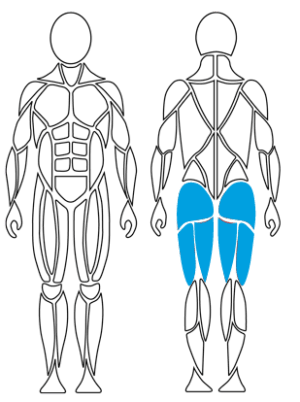 Hüft-& Knie; G260 Hüftstrecker, Medizinische Trainingsgeräte, Hüfte, Knie,Zielmuskeln, Therapie, Krafttraining