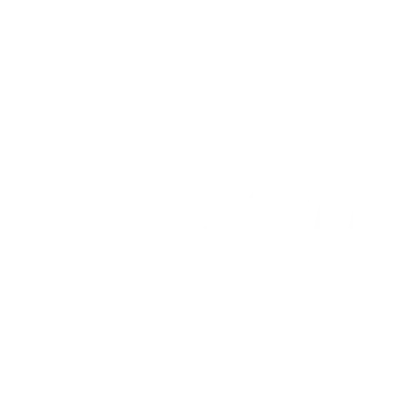 Intenza Partner Gymfit