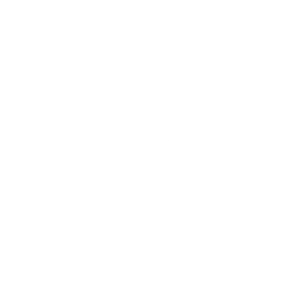 Intenza Partner JW Marriott