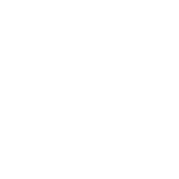 Intenza Partner U-Miami