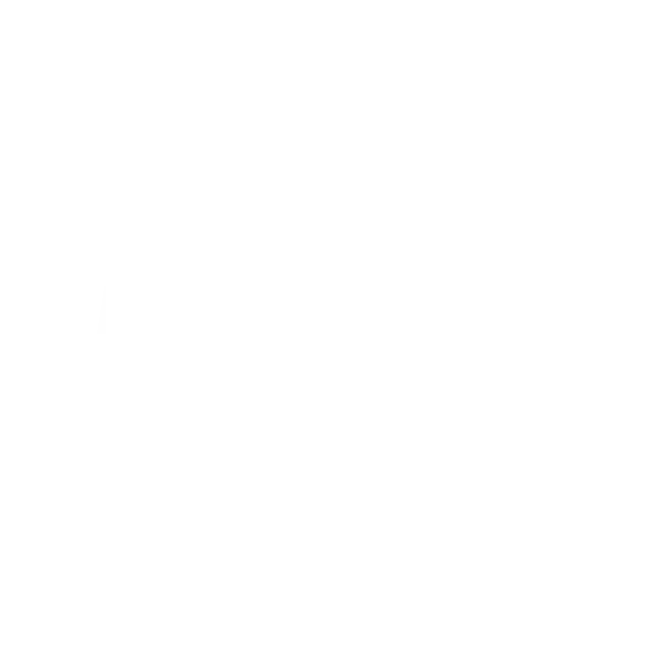 Intenza Partner ACE HOTEL