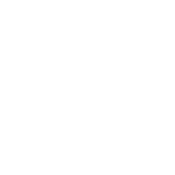 Intenza Partner Alaya