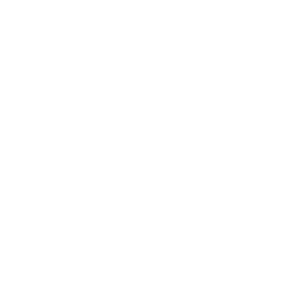 Intenza Partner Beat X
