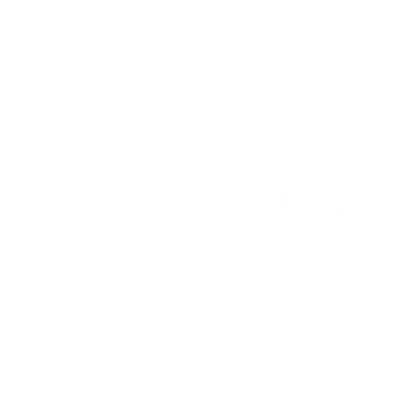 Intenza Partner EQUINOX