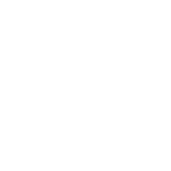 Intenza Partner Gimnasio Modern
