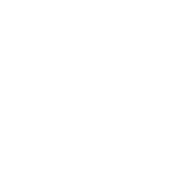 Intenza Partner UWS